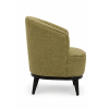 Ijoya Casual Chair - Set Of 2 - Image 8