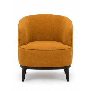 Ijoya Casual Chair - Set Of 2