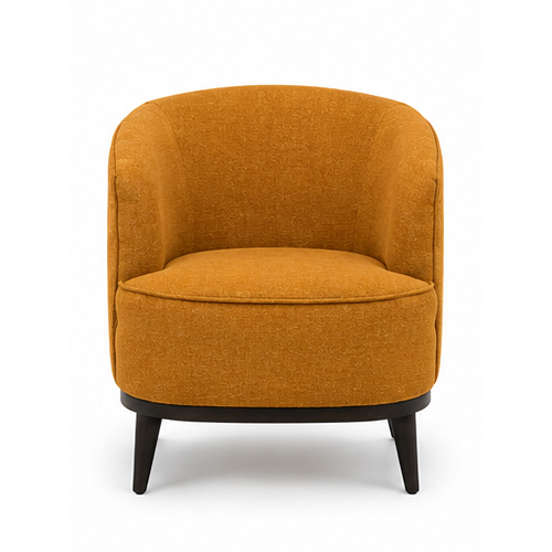 Ijoya Casual Chair - Set Of 2